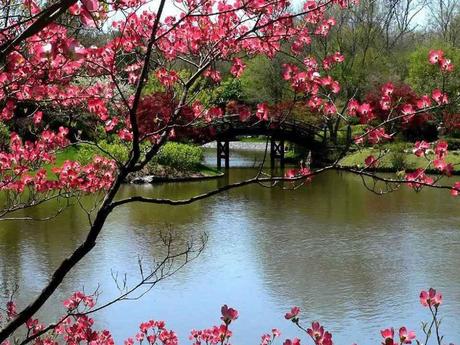 Divers - Un magnifique poème