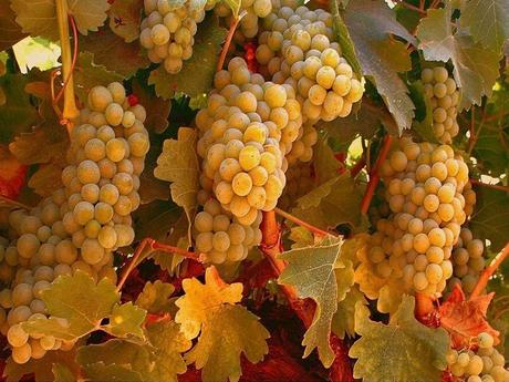 Divers - Un magnifique poème