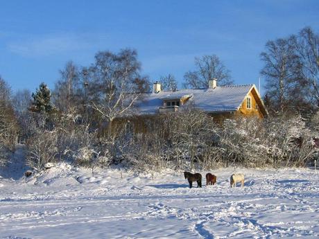 Divers - Un magnifique poème