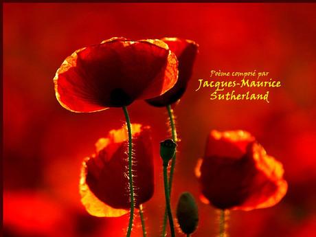 Divers - Un magnifique poème