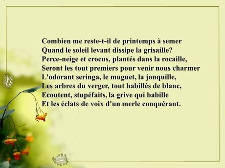 Divers - Un magnifique poème