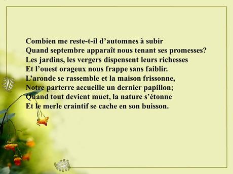 Divers - Un magnifique poème