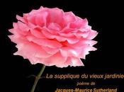 Divers magnifique poème