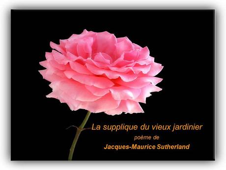 Divers - Un magnifique poème