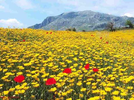 Divers - Un magnifique poème