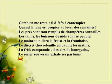 Divers - Un magnifique poème