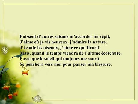 Divers - Un magnifique poème