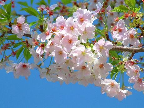 Divers - Un magnifique poème