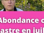 Abondance désastre juillet dans jardin permaculture (vidéo)