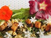 Croûtons originaux salade pâtes (Vegan)