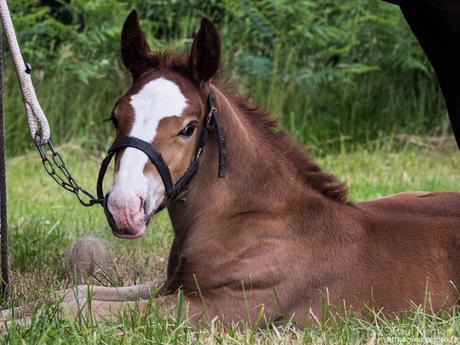 belle soirée à Tréguennec #Bretagne #Finistère #bigoudenjoy belle soirée à Tréguennec #Bretagne #Finistère #bigoudenjoy