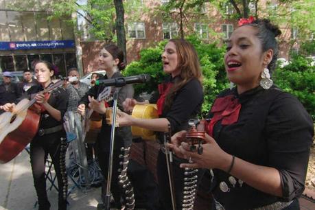 [IN TEDDY’S HEIGHTS] : #1. Frederick Wiseman : essentialité et fragilité des garde-fous sociaux et culturels