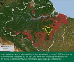 Préserver 100000 km2 de forêt en Amazonie avec l’aide des peuples locaux Préserver 100000 km2 de forêt en Amazonie avec l’aide des peuples locaux