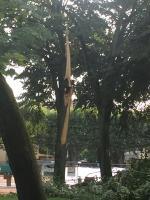 Les rues de Chalon-sur-Saône IMG_2246