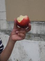 Les rues de Chalon-sur-Saône fullsizeoutput_4059