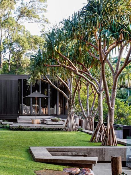 jardin tropical palmier pelouse maison ouverte nature