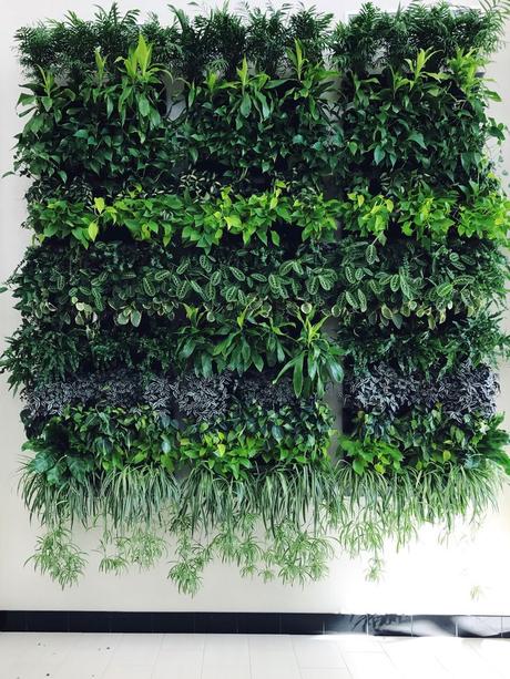 Le mur végétal : la tendance écolo déco qui prend de la hauteur !