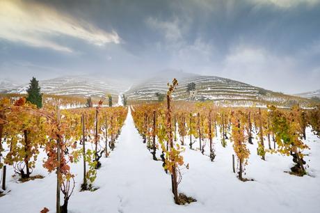 Le Fascinant Week-End en Auvergne Rhône Alpes