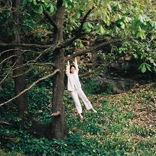 FLASH : THE MERGERS / MAPLE GLIDER / MICKO & THE MELLOTRONICS