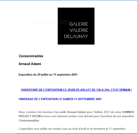 Galerie Valérie Delaunay  » Arnaud Adami «