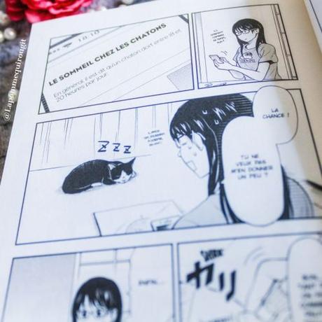 La gameuse et son chat, tome 2 à 4 • Wataru Nadatani La gameuse et son chat, tome 2 à 4 • Wataru Nadatani