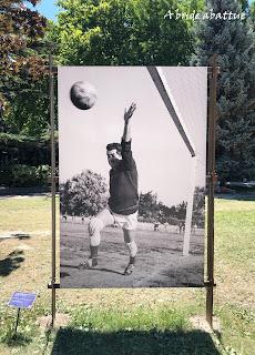 Une exposition-promenade photographique sur le festival d’Avignon dans le Jardin des Doms