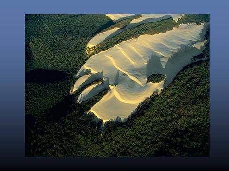 Divers - De sublimes photos - 1