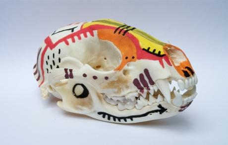 Custom de crâne de raton-laveur