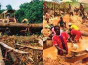 Cameroun Région l’Est cadavres sous mines d’or
