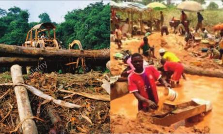 Cameroun – Région de l’Est : Des cadavres sous les mines d’or