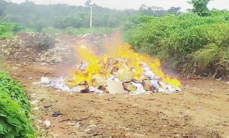 Cameroun : Une cargaison de produits illicites détruite à Bafoussam