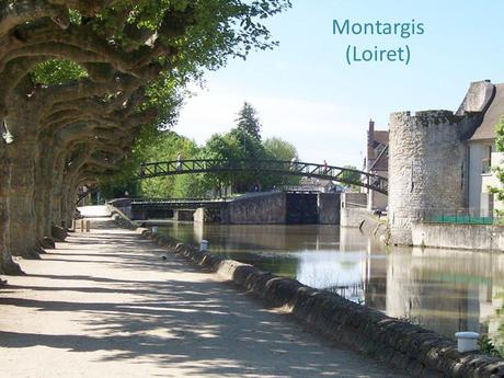 La France - et ses Gourmandises - 4