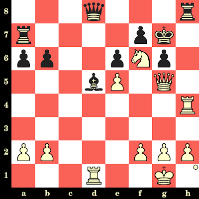 Duda domine la Coupe du monde d'échecs de Sotchi