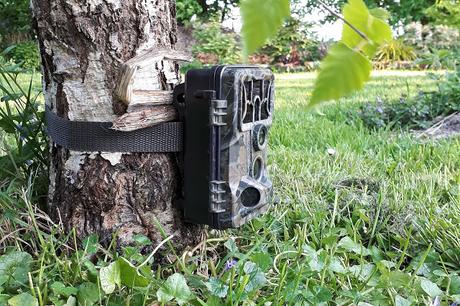 2020: Camera nocturne 2020: Camera nocturne