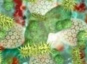 INFECTION PLAIES post-op: Quelques mesures prévention base
