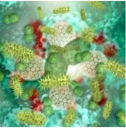 INFECTION de PLAIES post-op: Quelques mesures de prévention de base INFECTION de PLAIES post-op: Quelques mesures de prévention de base