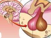 Analyse SWOT marché mondial hormones reproduction injectables, indicateurs clés, prévisions 2027 Pfizer, Xianju Pharma, American Regent