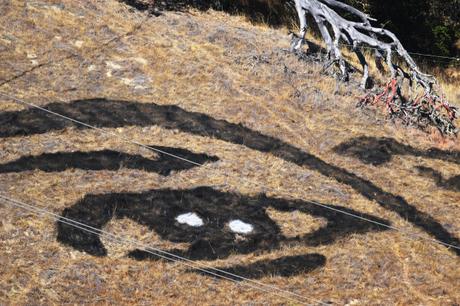 Le visage apparaît sur la colline le long de la route 101