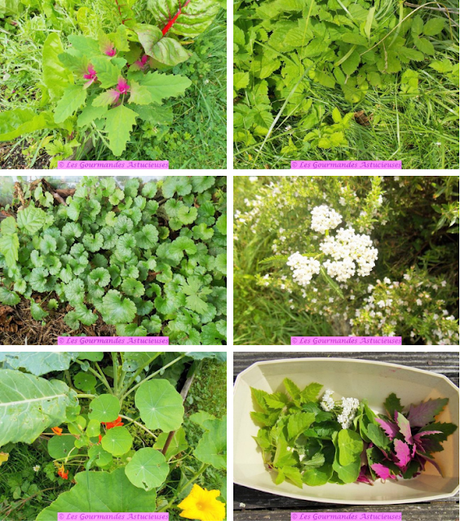 Pommes de terre nouvelles, carottes, ail-éléphant et origan (Vegan)