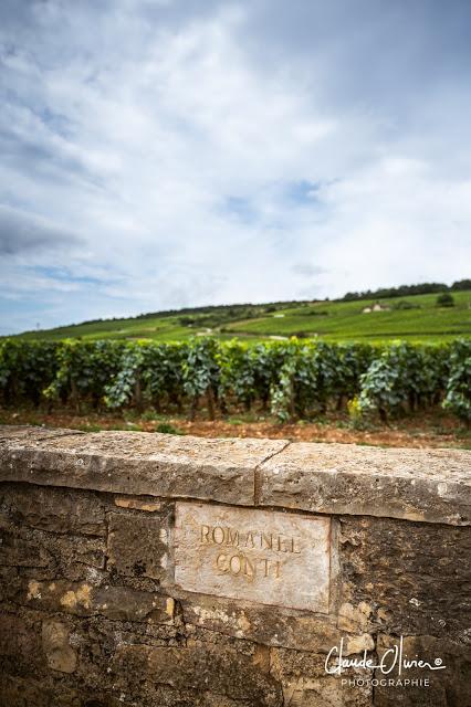 Balade en Bourgogne, entre pinot noir et chardonnay !