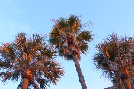 Summer Haven, Saint-Augustine, États-Unis