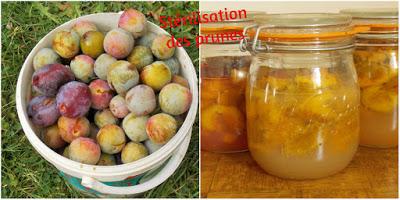 Comment conserver ses fruits et légumes pour l'hiver ? Comment conserver ses fruits et légumes pour l'hiver ?