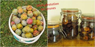 Comment conserver ses fruits et légumes pour l'hiver ? Comment conserver ses fruits et légumes pour l'hiver ?