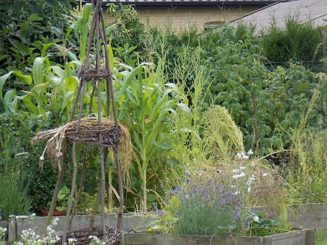 Comment conserver ses fruits et légumes pour l'hiver ?