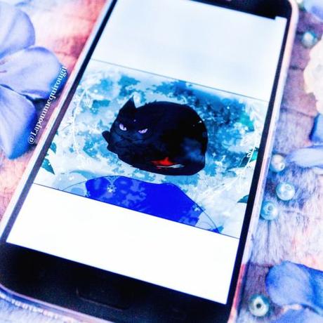 J’ai élevé une bête • Yeo Seul Gi J’ai élevé une bête • Yeo Seul Gi