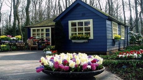 Pays Etranger - Les Pays bas 