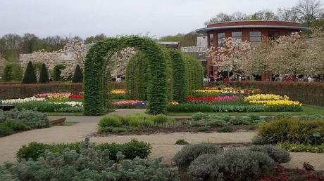 Pays Etranger - Les Pays bas 