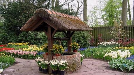 Pays Etranger - Les Pays bas 