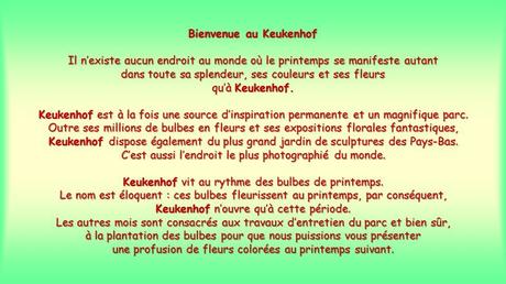 Pays Etranger - Les Pays bas