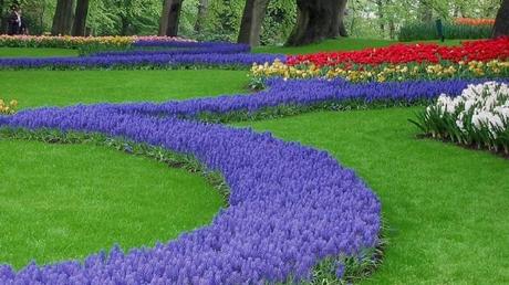 Pays Etranger - Les Pays bas 